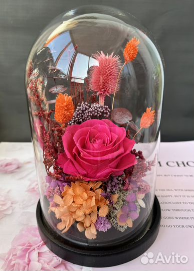 Стеклянный колпак клош