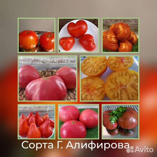 Семена помидор, огурцов капусты