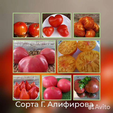 Семена помидор, огурцов капусты