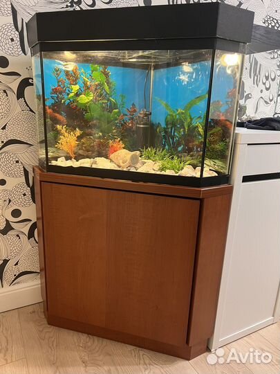 Аквариум с тумбой 50литров