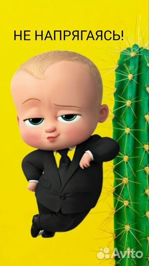 Администратор