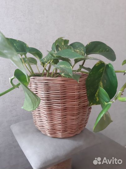 Плетеные изделия из бумажной лозы