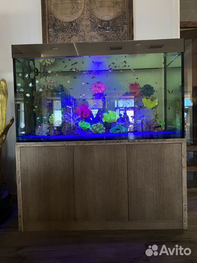 Чистка аквариума