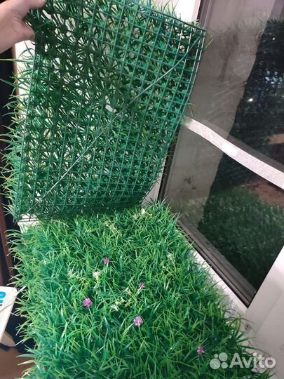 Самшитовый коврик