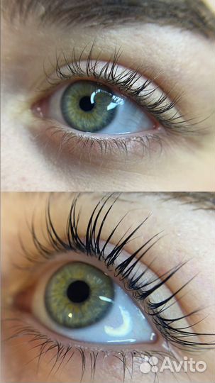 Мастер бровист