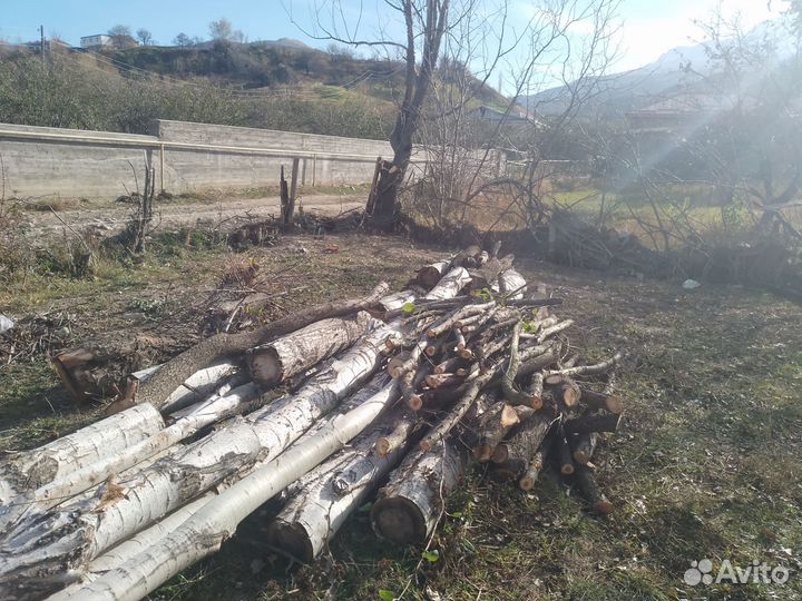 Дрова колотые