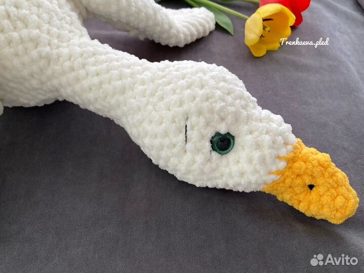 Гусь обнимусь