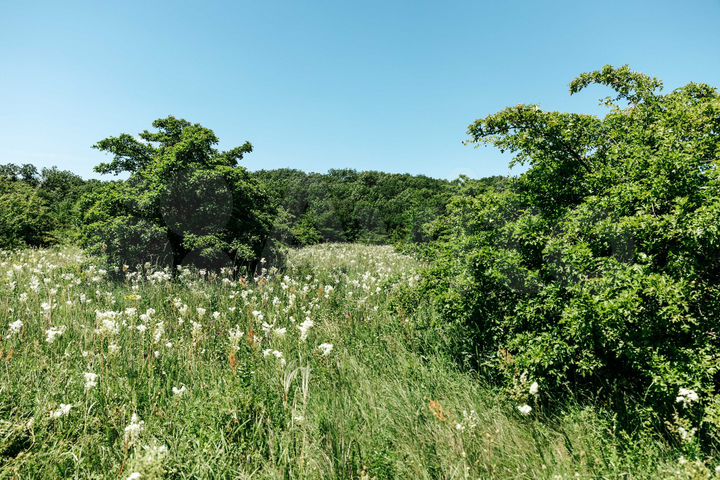 Участок 10,9 сот. (ИЖС)