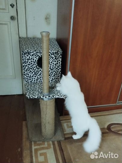 Домик для кошки