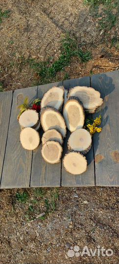 Спилы дерева