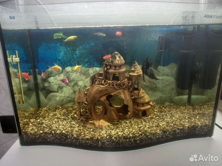 Аквариум с рыбками