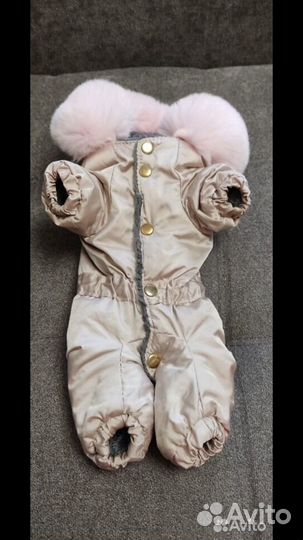 Зимний комбинезон для маленькой собаки