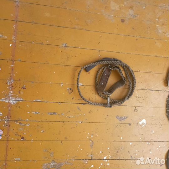 Инвентарь для крупных собак