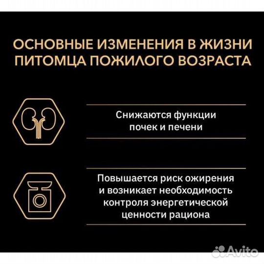 Корма для кошек и собак оптом