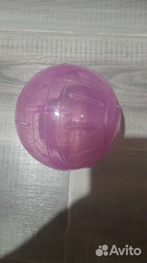 Шар для грызунов прогулочный