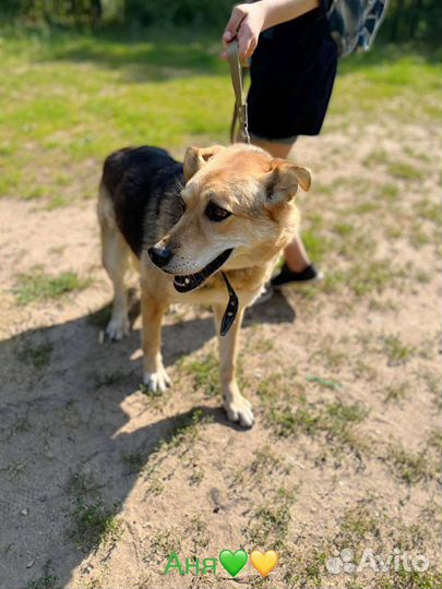 Марта ищет дом