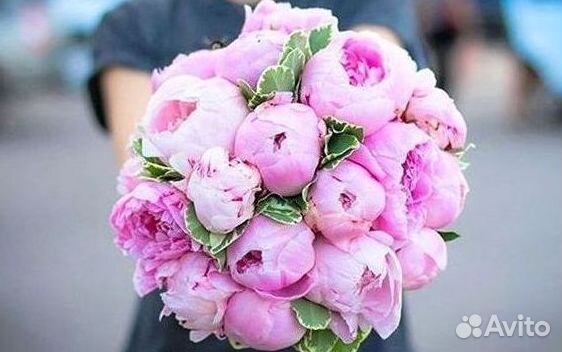 Пионы Букет пионов