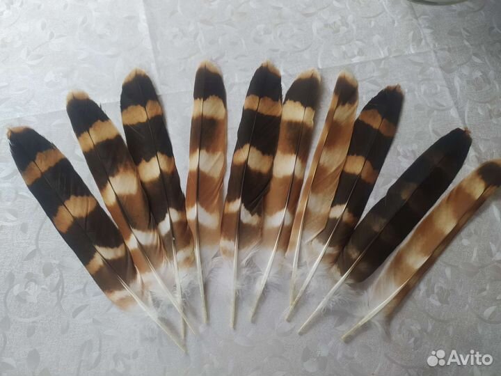 Перо птицы,наборы для рукоделия и творчества
