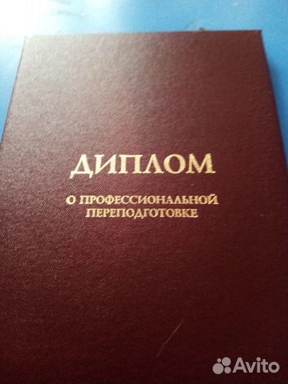 Дрессировка, Выгул, собак, щенков, догситер