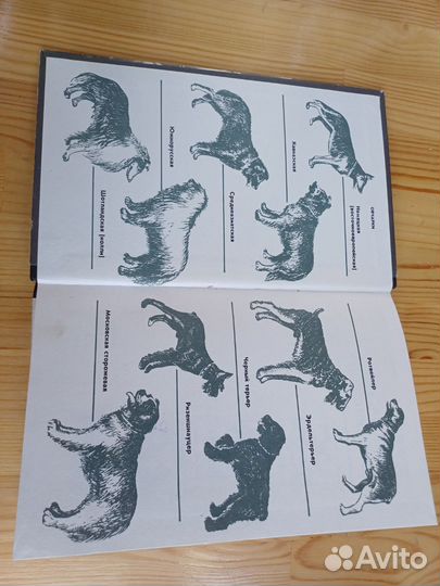 Клуб служебного собаководства ДОСААФ 1987