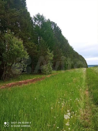 Участок 12 сот. (ИЖС)