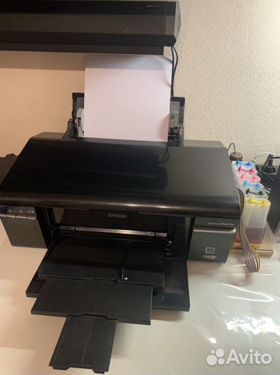 Принтер epson p 50