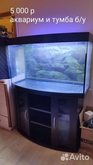 Аквариум Eheim proximatec 250 с тумбой