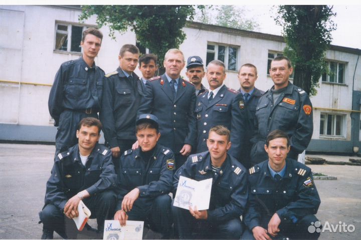 Дрессировка собак (кинолог )