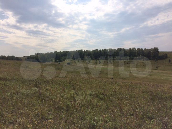 Участок 6 га (СНТ, ДНП)