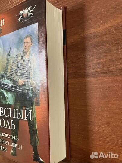 Небесный король (трилогия)