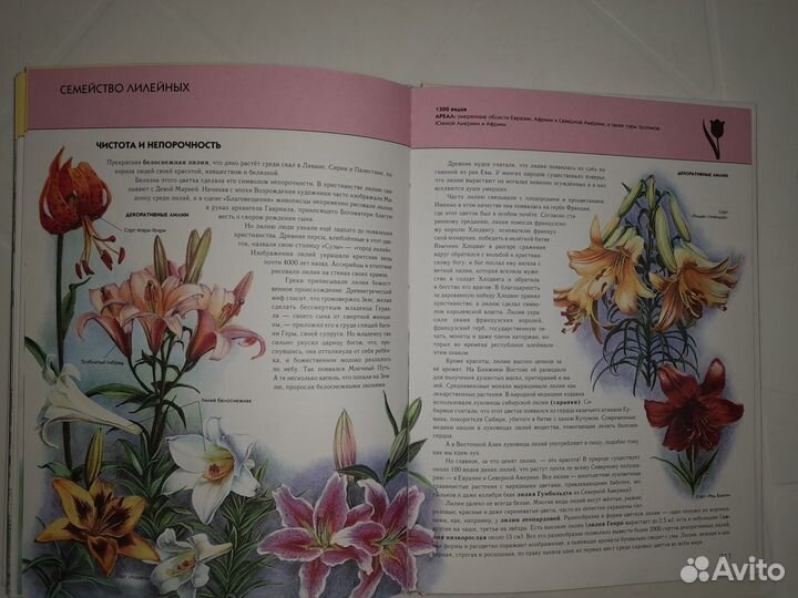 Полная Энциклопедия Растения