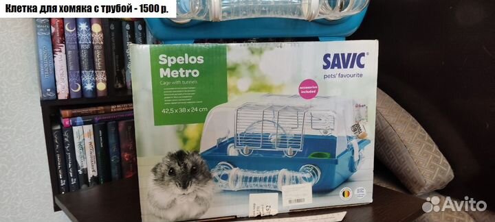 Клетки для грызунов, Террариум, аксессуары