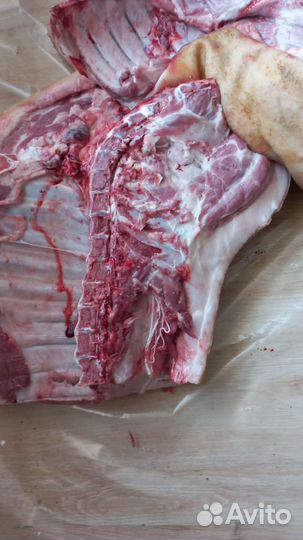Мясо свинина оптом