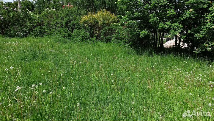 Покос травы