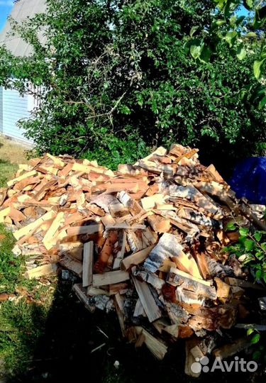 Дрова Береза в наличии в Выборге