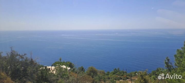 Козы козочки