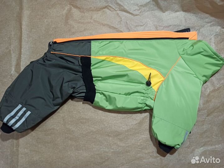 Одежда для собак