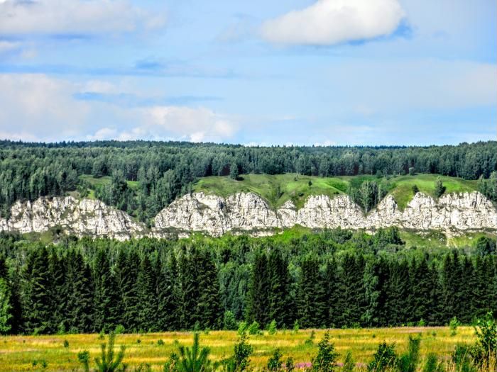 Участок 1,7 га (СНТ, ДНП)