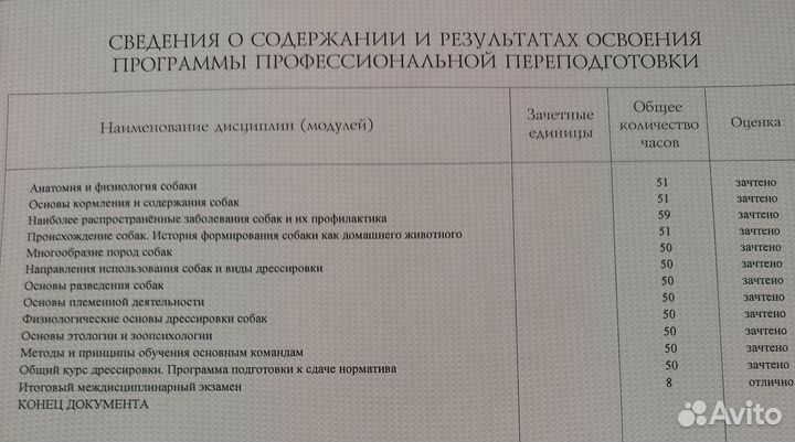 Кинолог(специалист по работе с поведением собак)