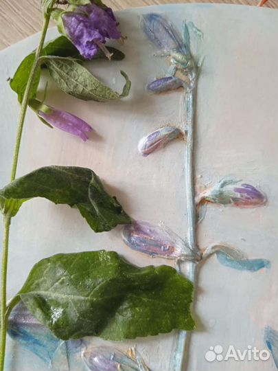 Ботанический барельеф Колокольчики