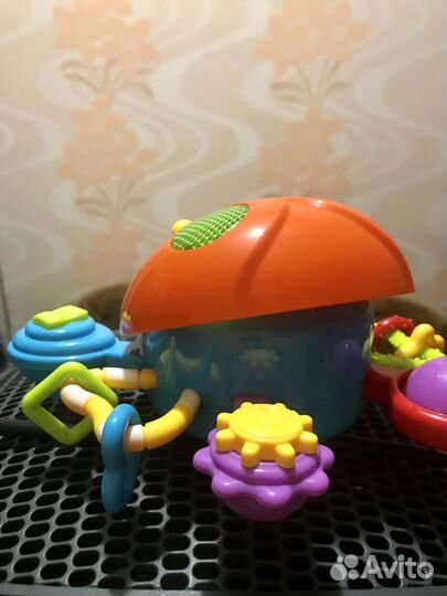 Божья коровка