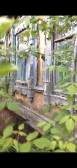 Дом 65 м² на участке 50 сот.