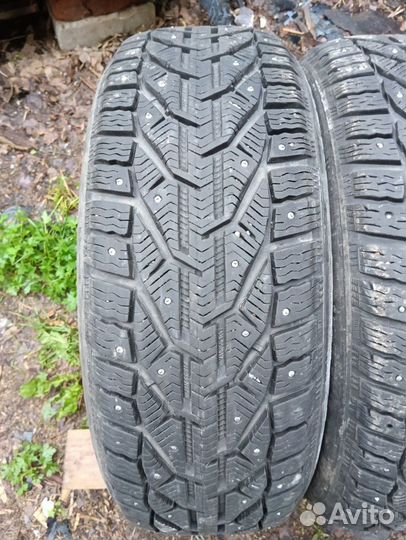 Tigar Ice 215/55 R17