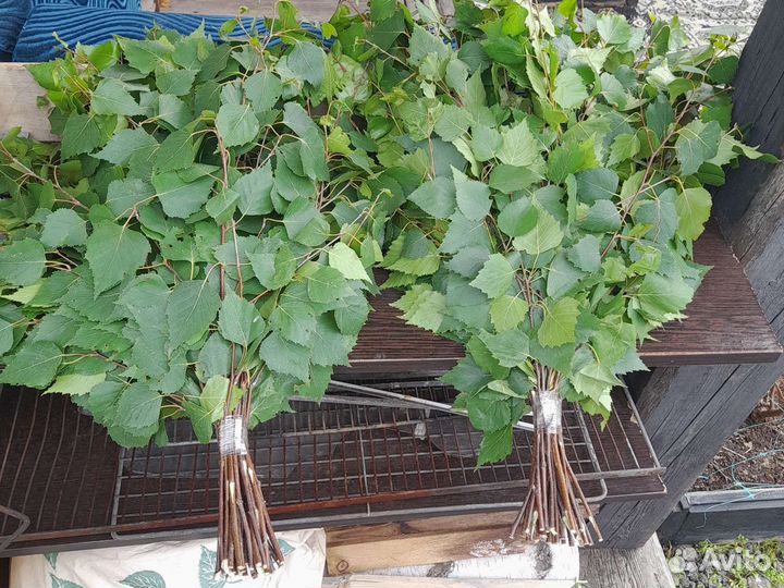 Веники для бани берёзовые