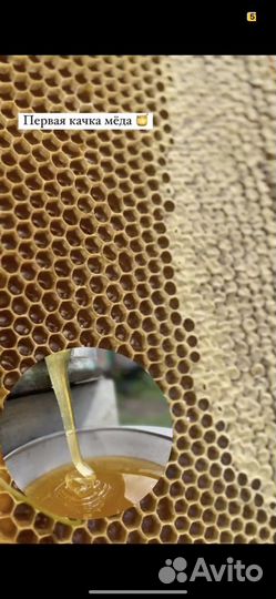 Мёд Акациевый