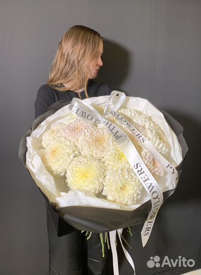 Хризантема одноголовая