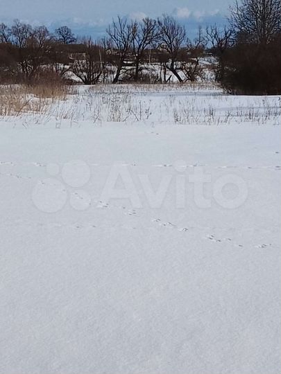 Участок 43 сот. (ИЖС)