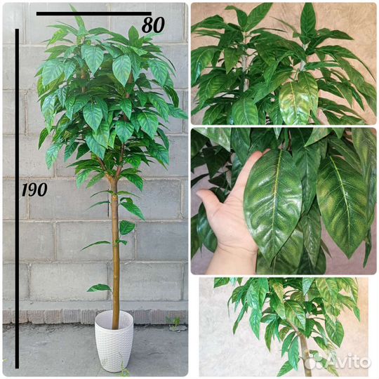 Манго (искусственное растение)