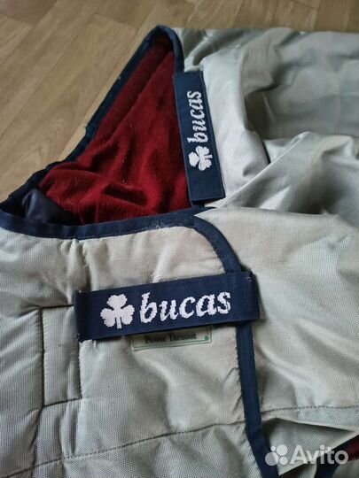 Попона для лошади