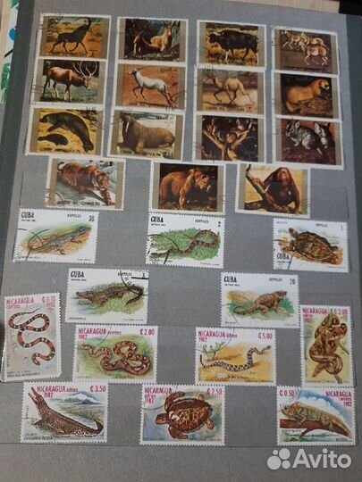 Альбом с марками